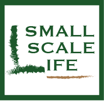 Small Scale Life